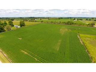 Property photo 9 - LAND AUCTION - 84+/- ACRES IN RUSH COUNTY, INDIANA